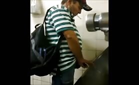 Looking for huge cocks in public toilets